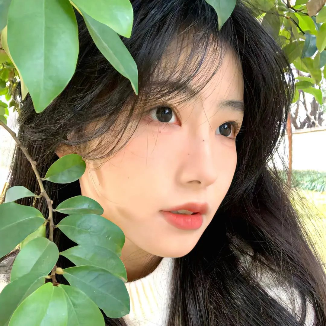完美星球